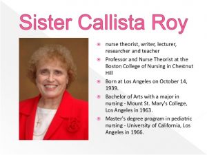 Teori Keperawatan Sister Calista Roy