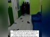 Viral! pengeroyokan Perawat Puskesmas Kedaton Bandar Lampung