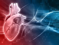 Mengenal Sistem Sirkulasi Aliran Darah (Cardiac Output, Curah Jantung, MAP dan Pulse Pressure)