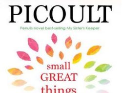 Review Buku : Small Great Things, Fiksi Perawat Dengan Balutan Isu Sosial