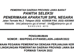 Penerimaan Pegawai Pemerintah Dengan Perjanjian Kerja (PPPK) Provinsi Jawa Barat Tahun 2022