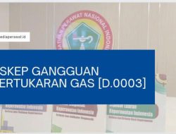 Asuhan Keperawatan Gangguan Pertukaran Gas (D.0003)