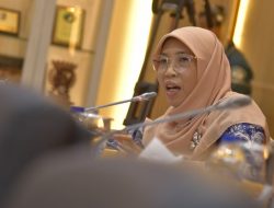 Tolak Pasien Hamil, Legislator Minta Kemenkes Periksa RSUD Subang