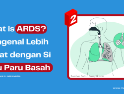 Mengenal Lebih Dekat dengan Si Paru Paru Basah (Part 2)