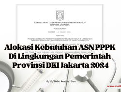 Alokasi kebutuhan Pengadaan ASN PPPK di Lingkungan Pemerintah Provinsi DKI 2024