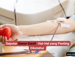 Wajib Baca! Ini Hal Penting Seputar Donor Darah yang Harus Diketahui