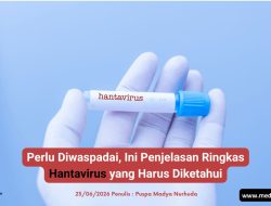 Perlu Diwaspadai, Ini Penjelasan Ringkas Hantavirus yang Harus Diketahui