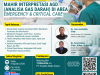 Webinar Nasional Keperawatan : “MAHIR INTERPRETASI AGD (Analisa Gas Darah) di AREA EMERGENCY & CRITICAL CARE”